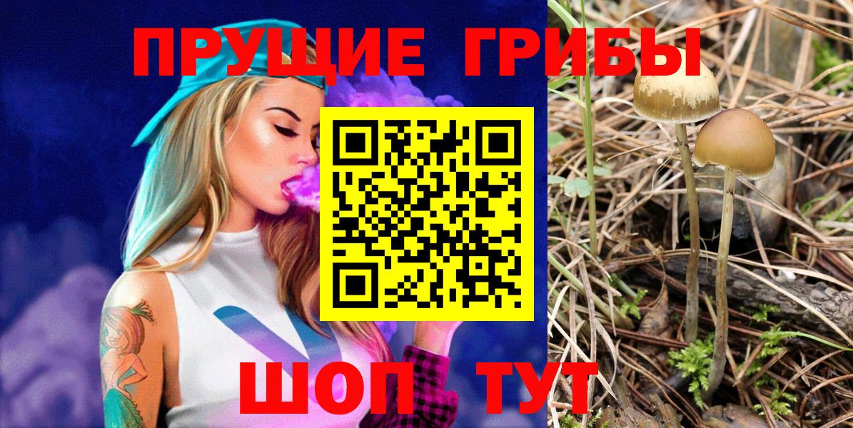 Псилоцибиновые грибы мухоморы Керчь