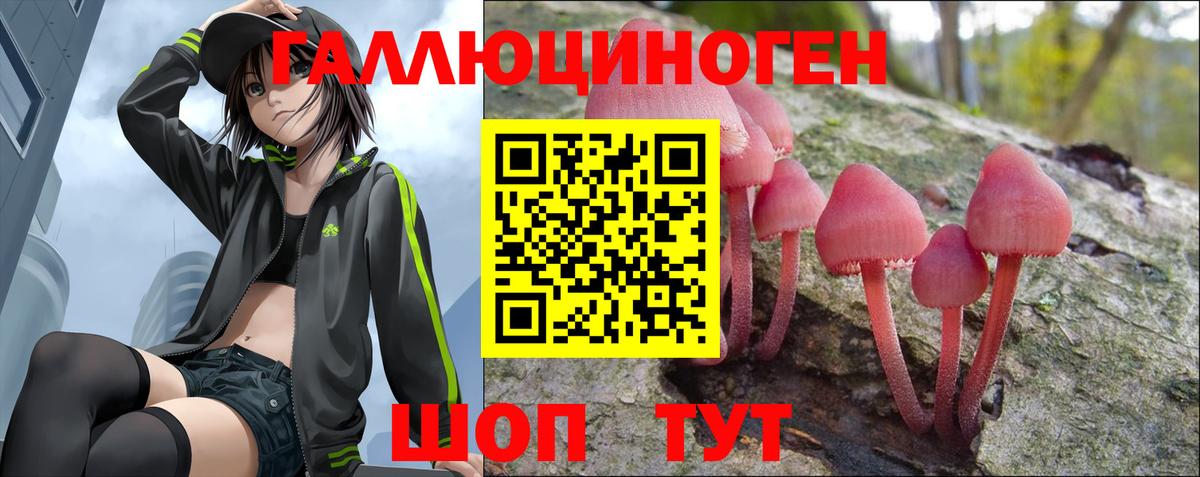 Галлюциногенные грибы Psilocybine cubensis  Вход с VPN  Псилоцибиновые грибы Psilocybine cubensis  как найти наркотики  Керчь 
